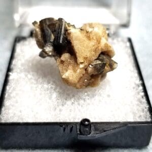 Tourmaline Himalaya Black Specimen Thumbnail 22.4x16.8mm 23.10Crts