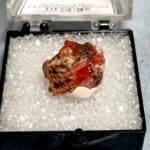 Wulfenite Specimen Thumbnail 15x13mm 11.05Crts