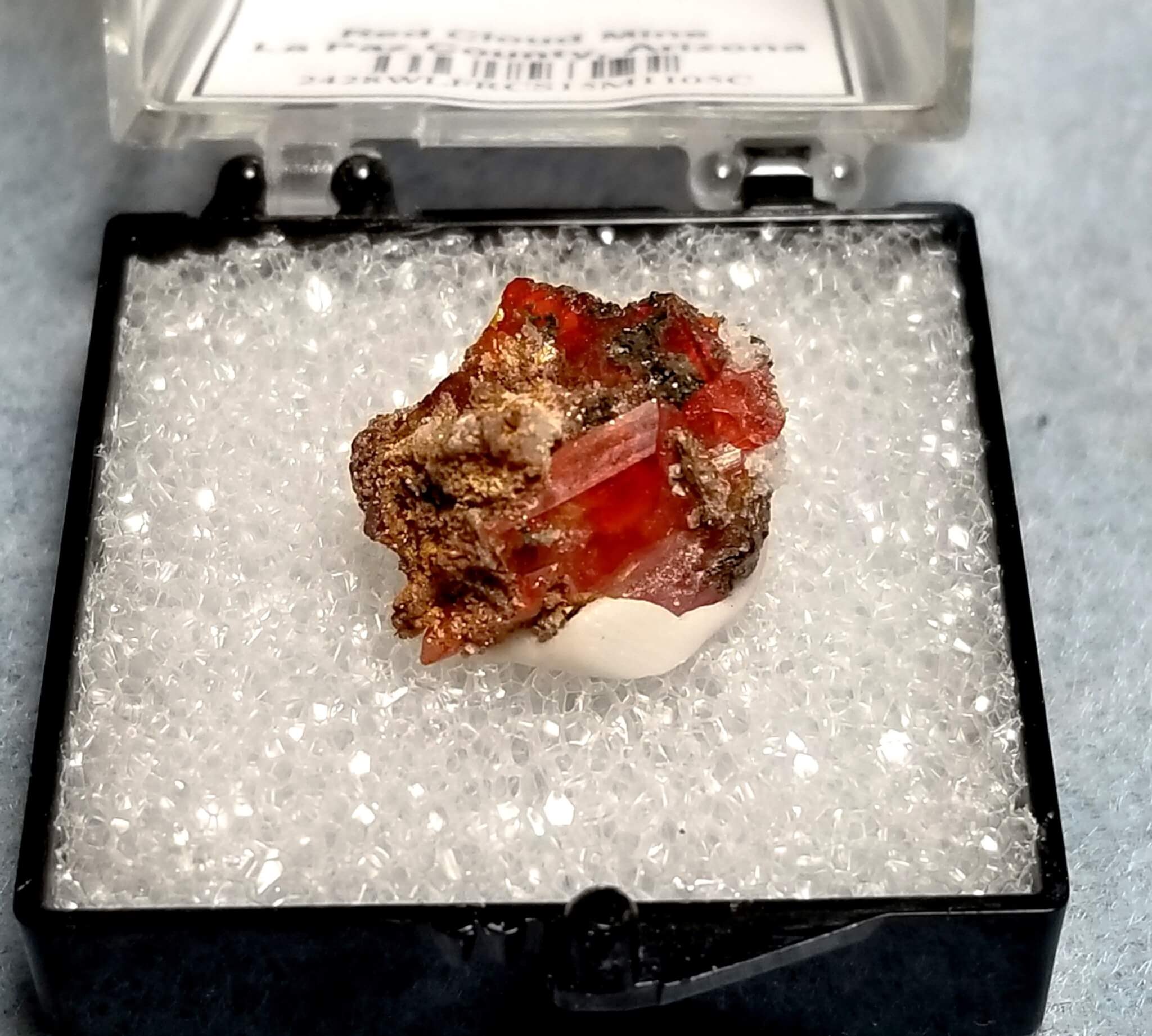Wulfenite Specimen Thumbnail 15x13mm 11.05Crts