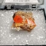 Wulfenite Specimen Thumbnail 16x15mm 12.05Crts