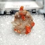Wulfenite Specimen Thumbnail 16x13mm 8.05Crts