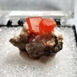 Wulfenite Specimen Thumbnail 19x16mm 14.65Crts