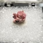 (F1) Inesite Specimen Thumbnail 8x6mm 1.90crts