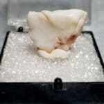 Opal Australian Opal Specimen Thumbnail 19x6mm 10.85Crts