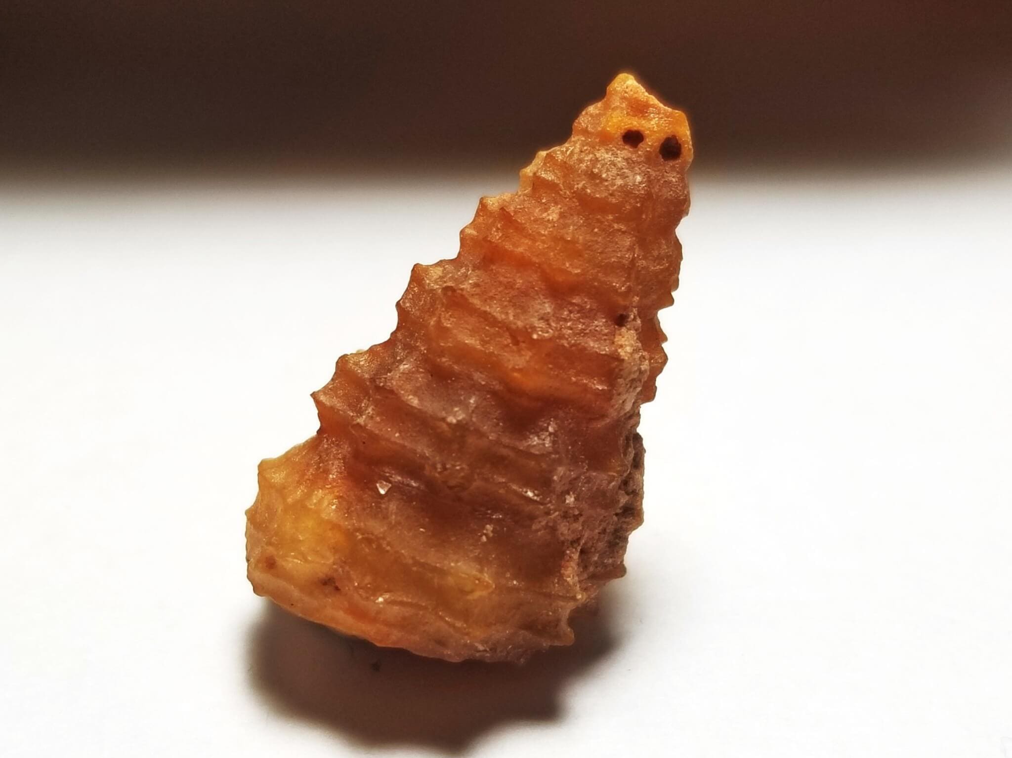 Shell Agatized Gastropod 26x15mm 23.85Crts