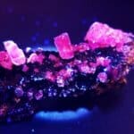 Fluorite Mapimi Mexico (UV Red) 2"x1" Inches 19.52G