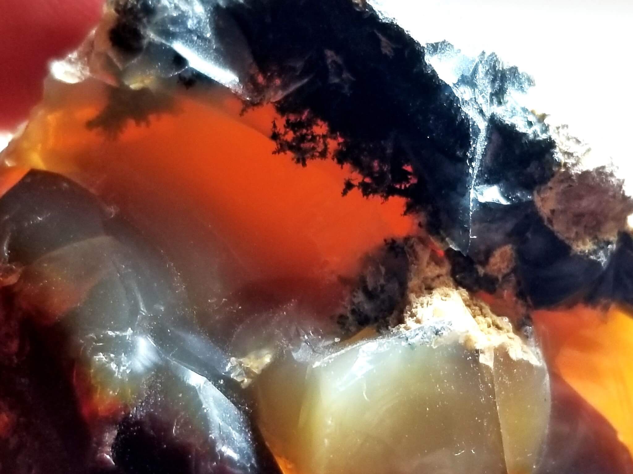 Opal Oregon Fire Juniper Ridge Specimen Rough 2.2"x1.2" 293.25crts - Image 6