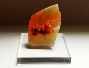Oregon Opal Butte Specimen 1.5″ x 1″ In. 45.50 Crts