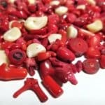 Coral White & Red Mixed Beads 6x5-13x10mm (250Ctw)