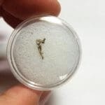 (D4) Silver Native Canadian Rough Specimen 9x4mm 0.04grams