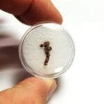 (D3) Copper Michigan Rough Specimen 2x1mm (thick) 0.35Grams