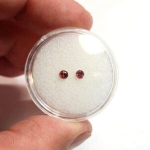 (B5) Garnet Raspberry Round 2.8mm 0.26ctw (2Pscs)