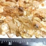 (X4) Sunstone Oregon Yellow Champagne Clear (no schiller) Rough Specimen (100Grams))