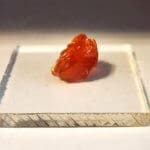 (W5) Oregon Opal Butte Specimen 0.75" x 0.50" In. 9.40 Crts