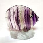 (D9) Fluorite Multicolor Carved Tropical Fish 40.5x40mm 118crts
