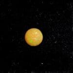 Opal Ethiopian Round Carved Clover 8mm 1.48crts