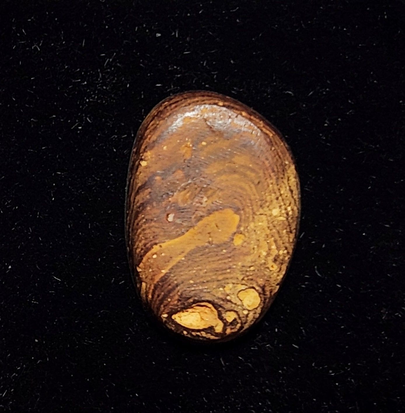 Opal Australian Doublet 18.25x12.5mm 6.28Crts - Image 2