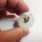 (A9) Abablone Shell Heart 14.5x13mm 2.95Crts