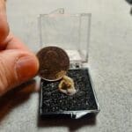 Gold In Quartz Oregon Specimen Thumbnail 11x9mm #50