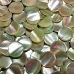 Mother of Pearl Cabochon Round Disks 8.5mm (100 Pcs) ~BUY 2 GET 1 FREE!