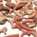 Coral Red Italian Mixed Shapes 4x9-9x20mm (70ctw)