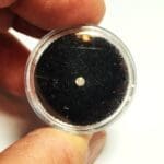 (F3) Diamond White Natural (Earth Mined) Round 2.4mm 0.04Crts