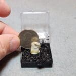 Gold In Quartz Oregon Specimen Thumbnail 14x10mm #172