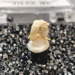 Gold In Quartz Oregon Specimen Thumbnail 8x5mm #24
