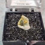 Gold In Quartz Oregon Specimen Thumbnail 11x9mm #50