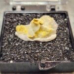 Gold In Quartz Oregon Specimen Thumbnail 20x6mm #94