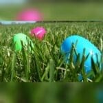 Genuine Mixed Loose Gemstone Filled Egg Hunt~BUY 2 GET 1 FREE